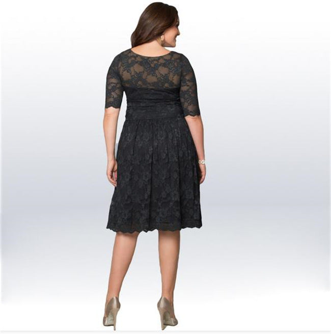 Women's Elegant Lace A-Line Dress Ivyshape